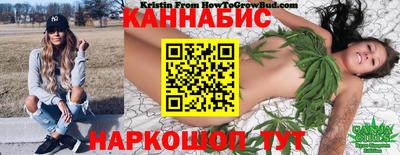 крисы Бийск