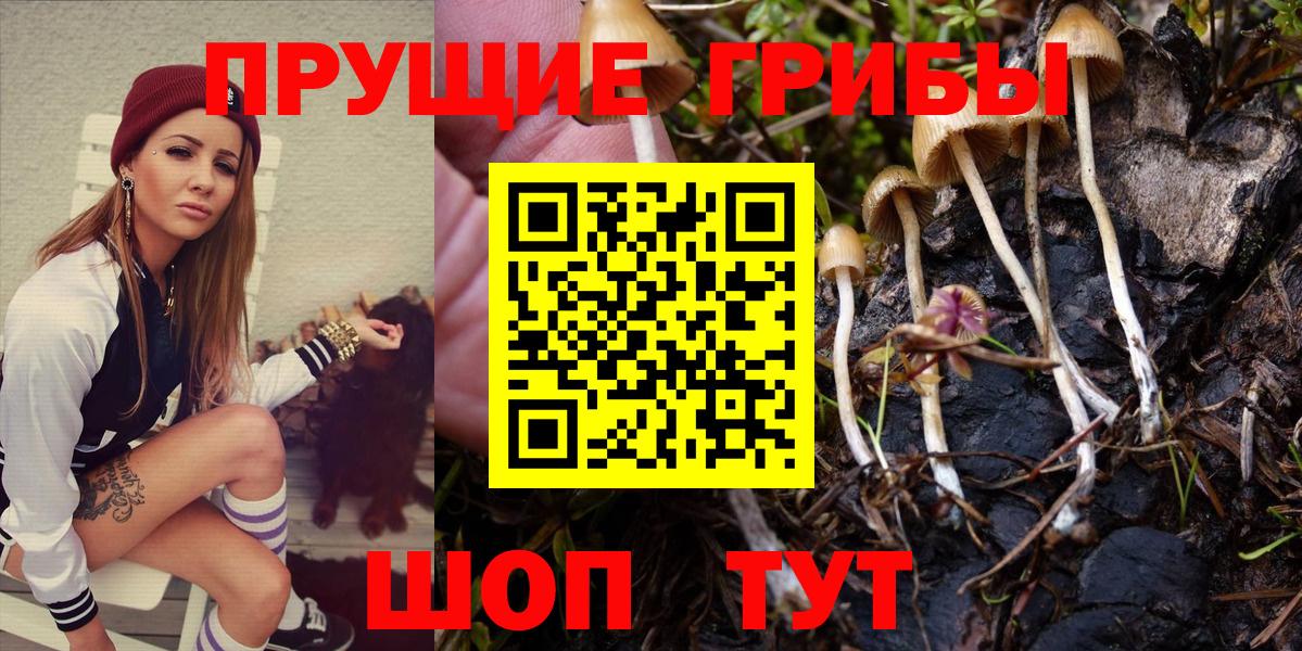 Галлюциногенные грибы мухоморы Великий Устюг