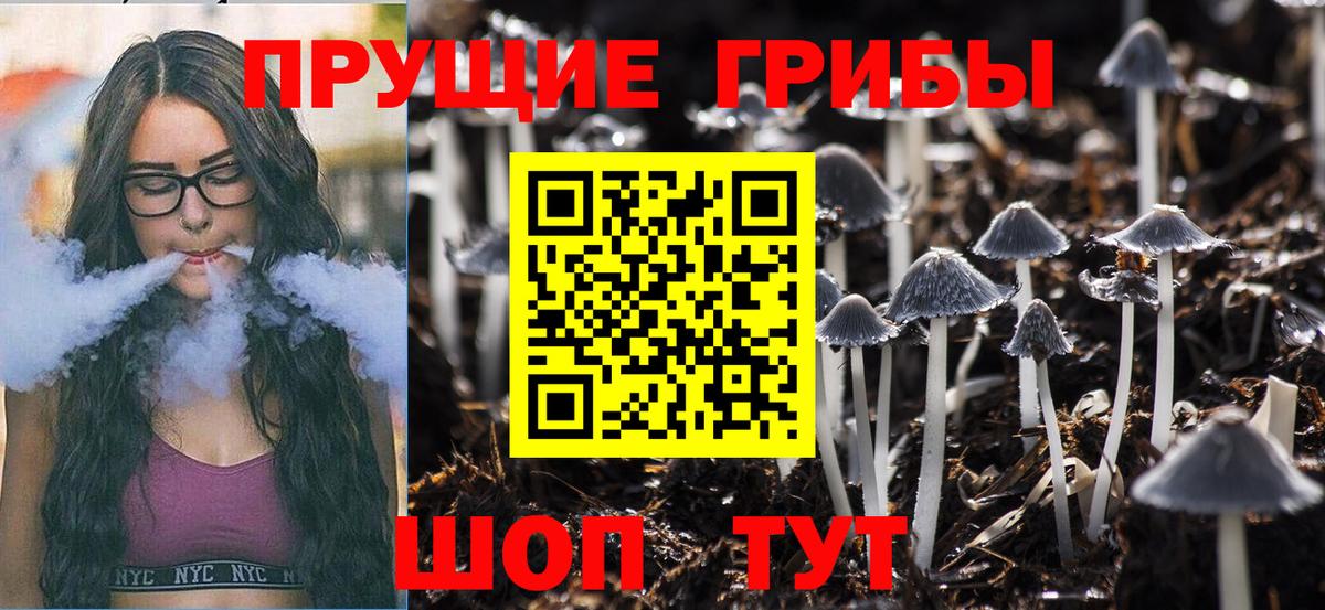 Галлюциногенные грибы прущие грибы Великий Устюг