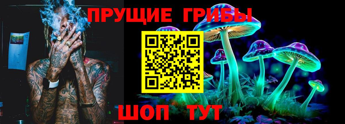 купить закладку  Вход с VPN  Великий Устюг  Псилоцибиновые грибы прущие грибы 