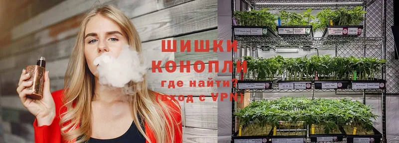 маркетплейс клад купить наркоту Великий Устюг Каннабис AK-47